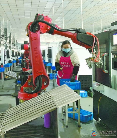 仪陇经开区 聚焦汽车零配件产业，打造优势产业集群新高地